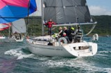 adelante gbr1007l whyw23 sun 800 3347